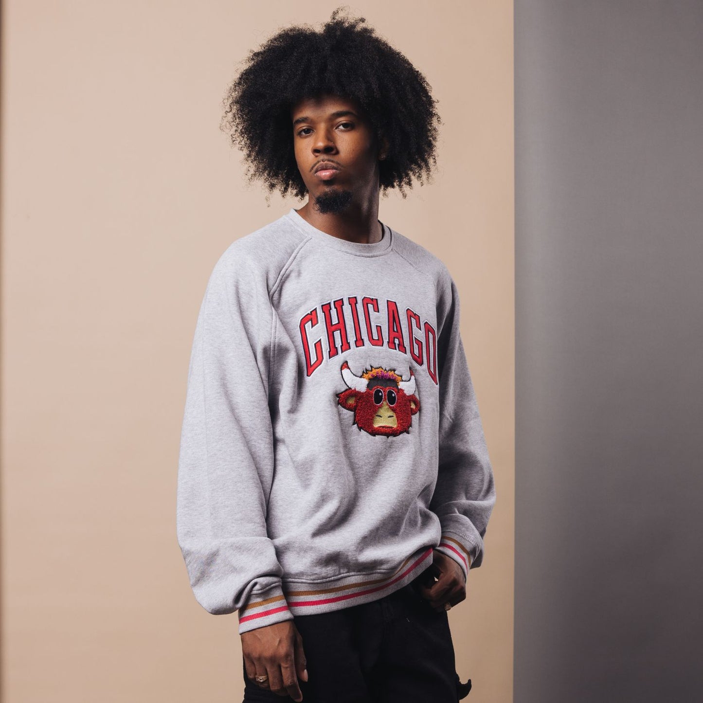Model Chicago Bulls 1966 Benny Striped Crewneck in Grey