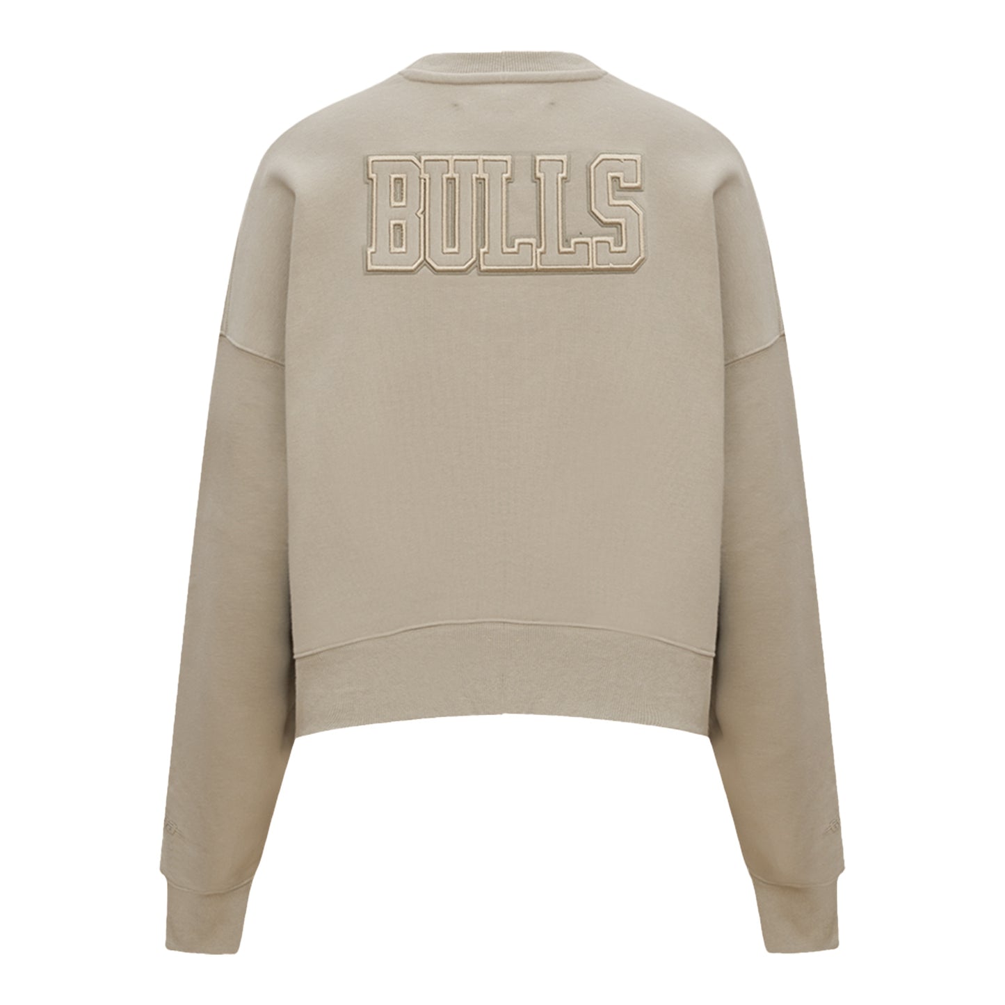 Ladies Chicago Bulls Pro Standard Neutral Crewneck Sweatshirt - Back View