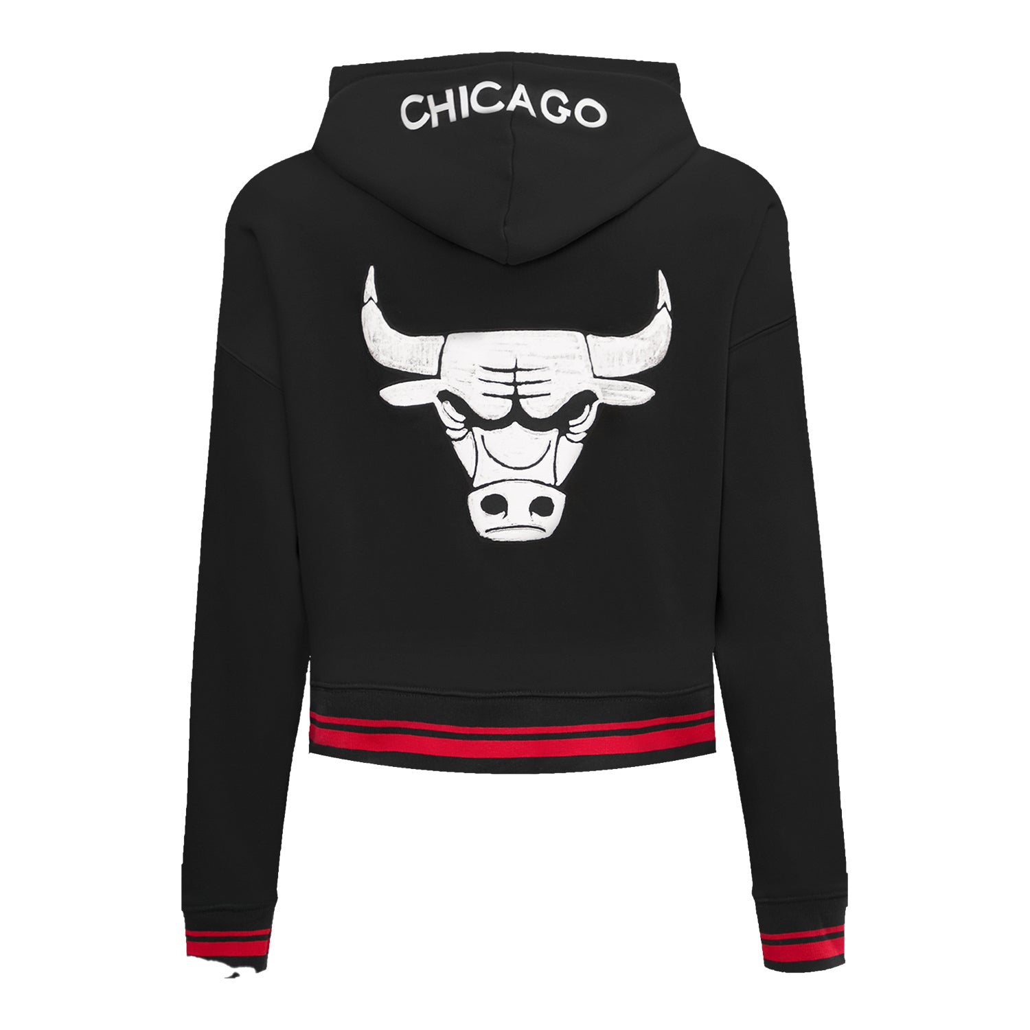 LADIES 2023-24 CHICAGO BULLS CITY EDITION PRO STANDARD M.O.M CROPPED HOODED SWEATSHIRT - back view