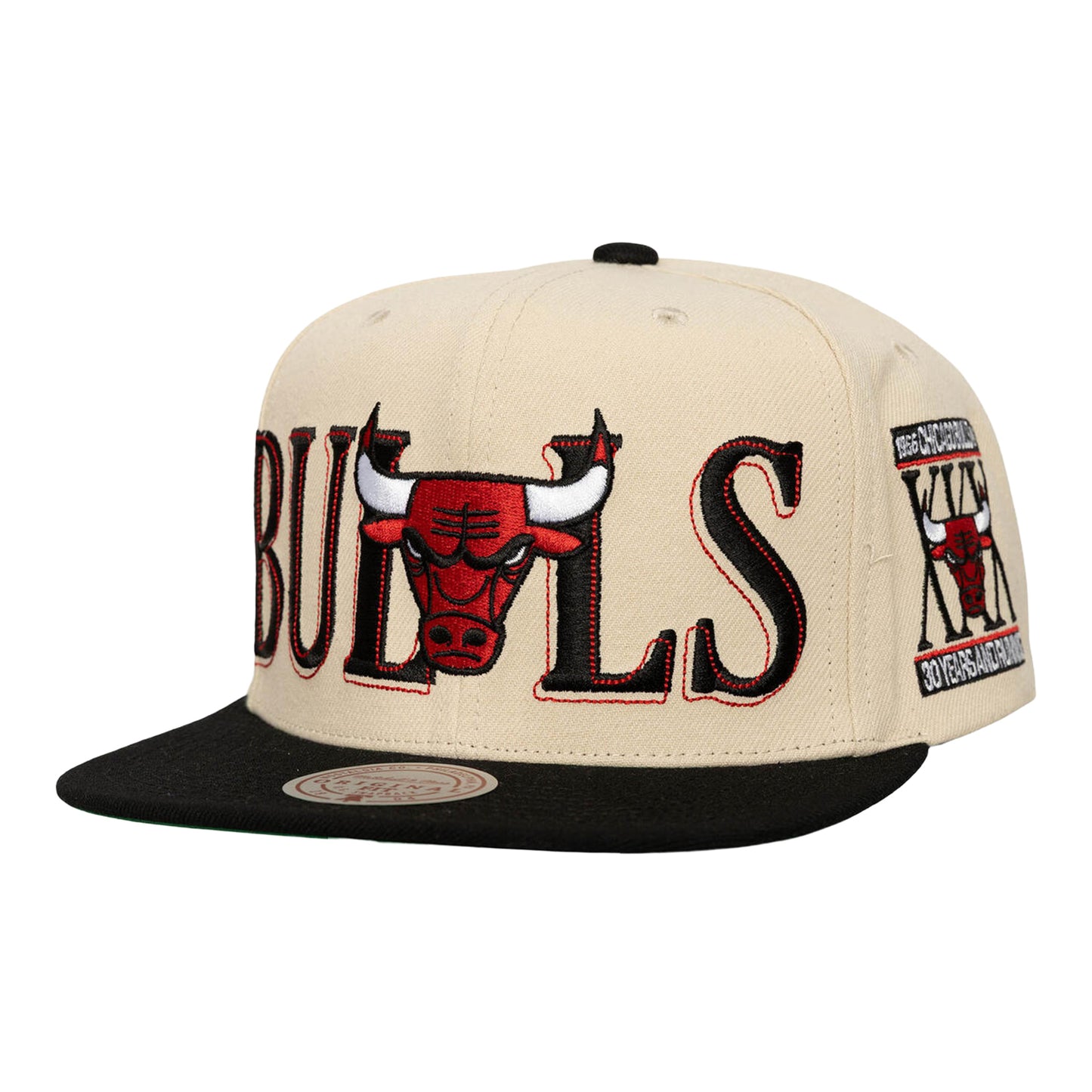 Chicago Bulls Mitchell & Ness Across the Board Snapback - Front Left View