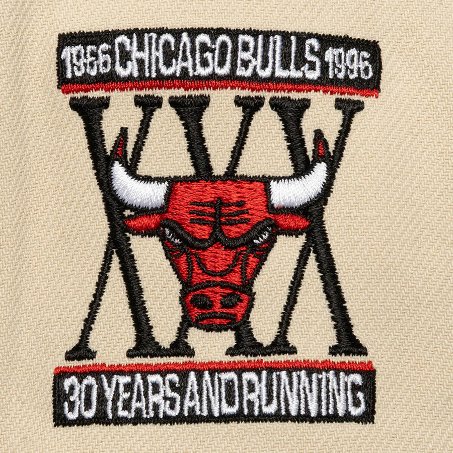 Chicago Bulls Mitchell & Ness Across the Board Snapback - Patch View