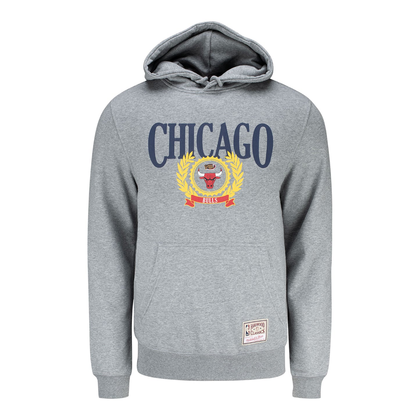 Chicago Bulls Mitchell & Ness Collegiate Ivy League Hooded Sweatshirt in grey - front view