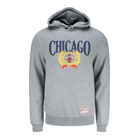 Chicago Bulls Mitchell & Ness Collegiate Ivy League Hooded Sweatshirt in grey - front view