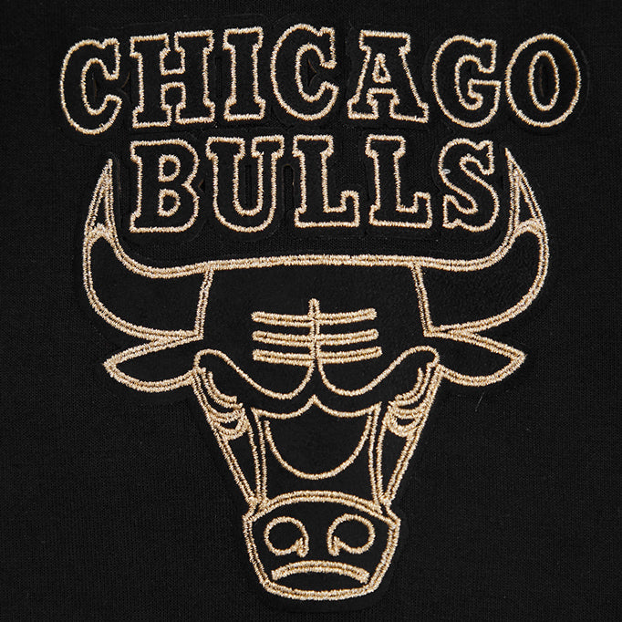 Chicago Bulls Pro Standard Gold Collection Hooded Sweatshirt In Black - Primary Logo