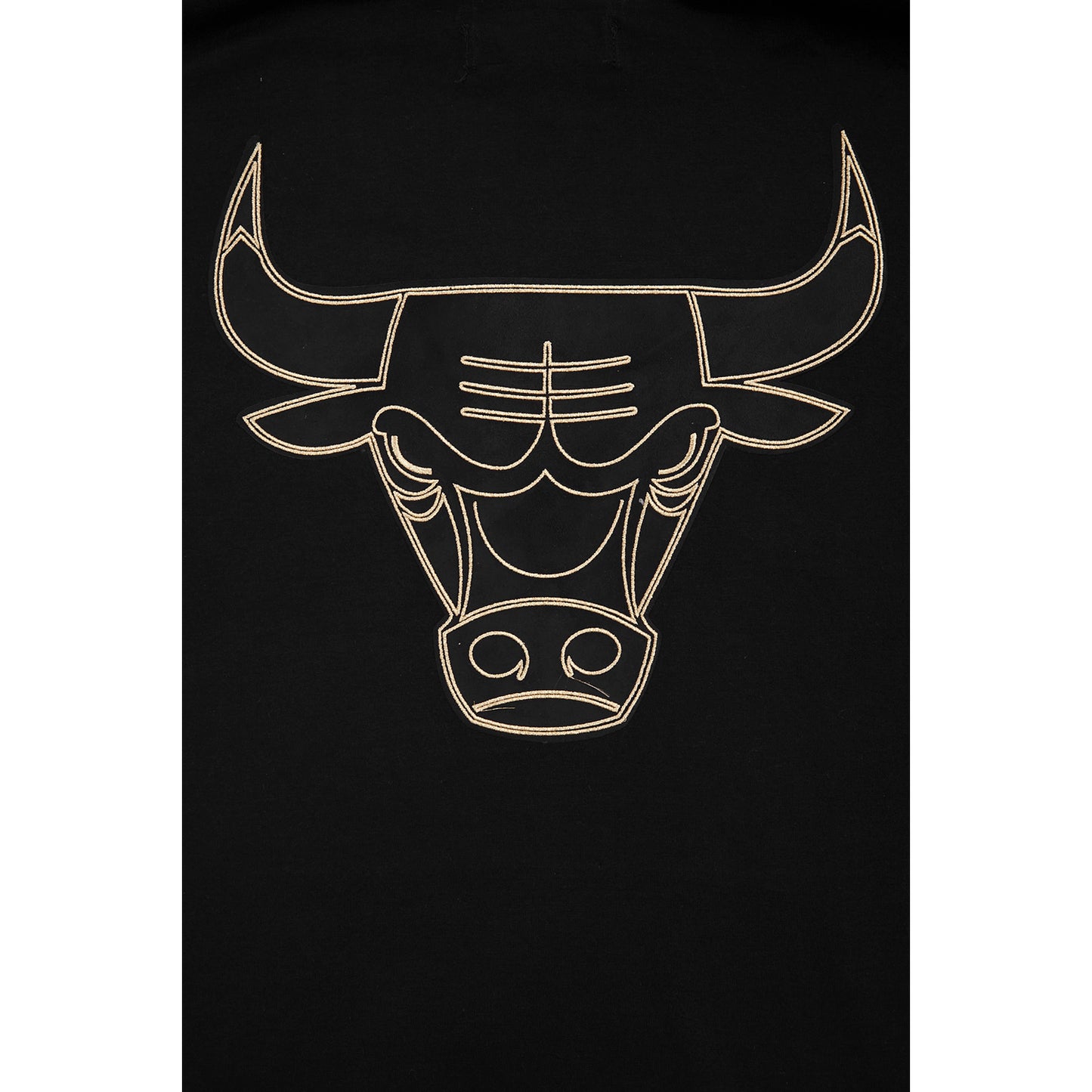 Chicago Bulls Pro Standard Gold Collection Hooded Sweatshirt In Black - Bull Logo