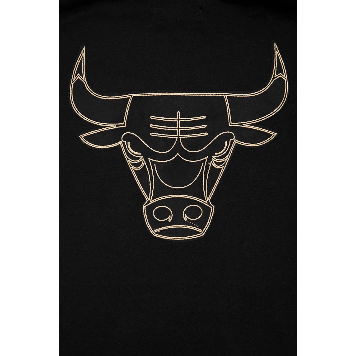 Chicago Bulls Pro Standard Gold Collection Hooded Sweatshirt In Black - Bull Logo