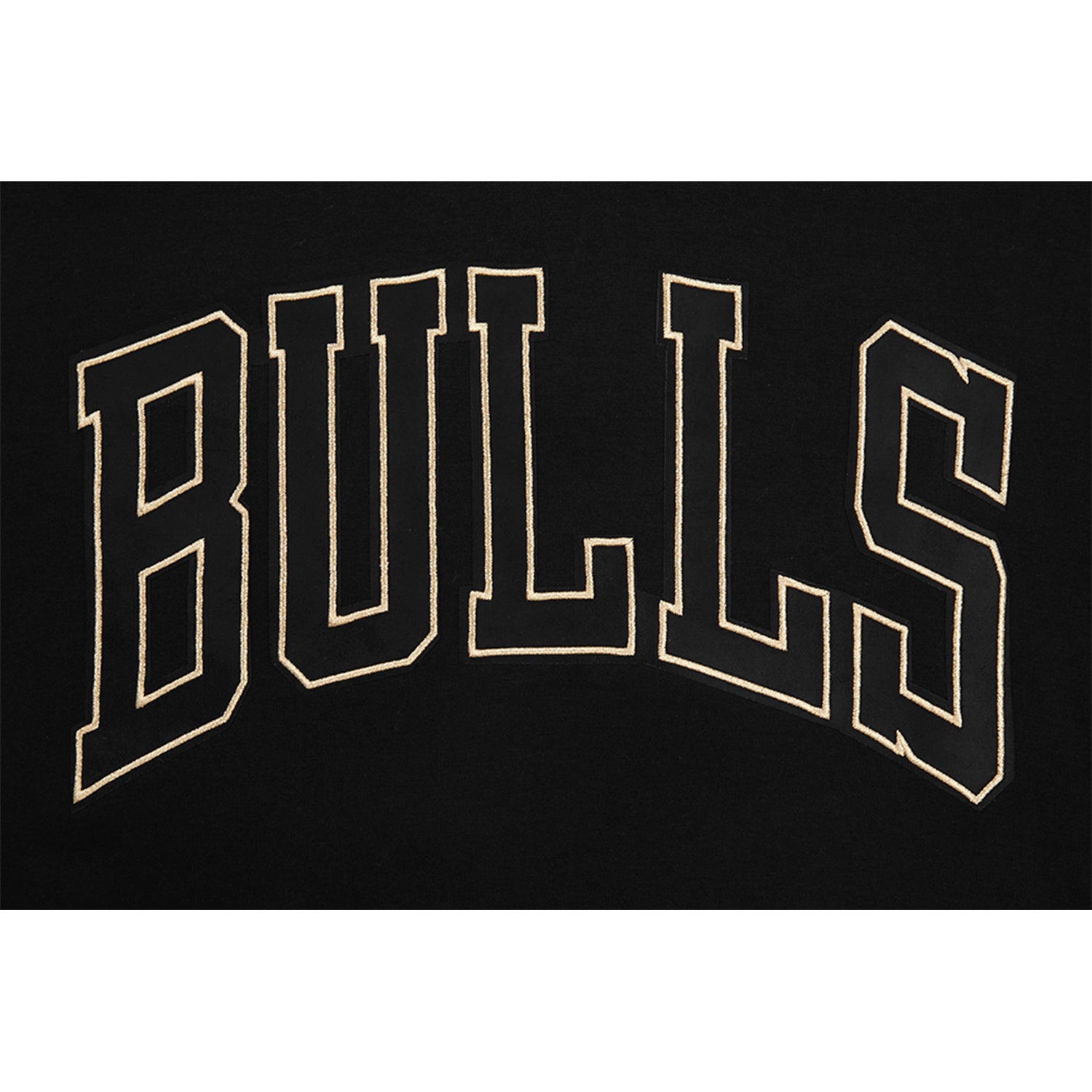 Chicago Bulls Pro Standard Gold Collection Hooded Sweatshirt In Black - Bulls Logo