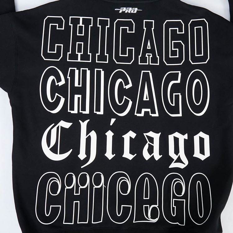 Chicago Bulls Pro Standard Billboard Hooded Sweatshirt in Black - Back View
