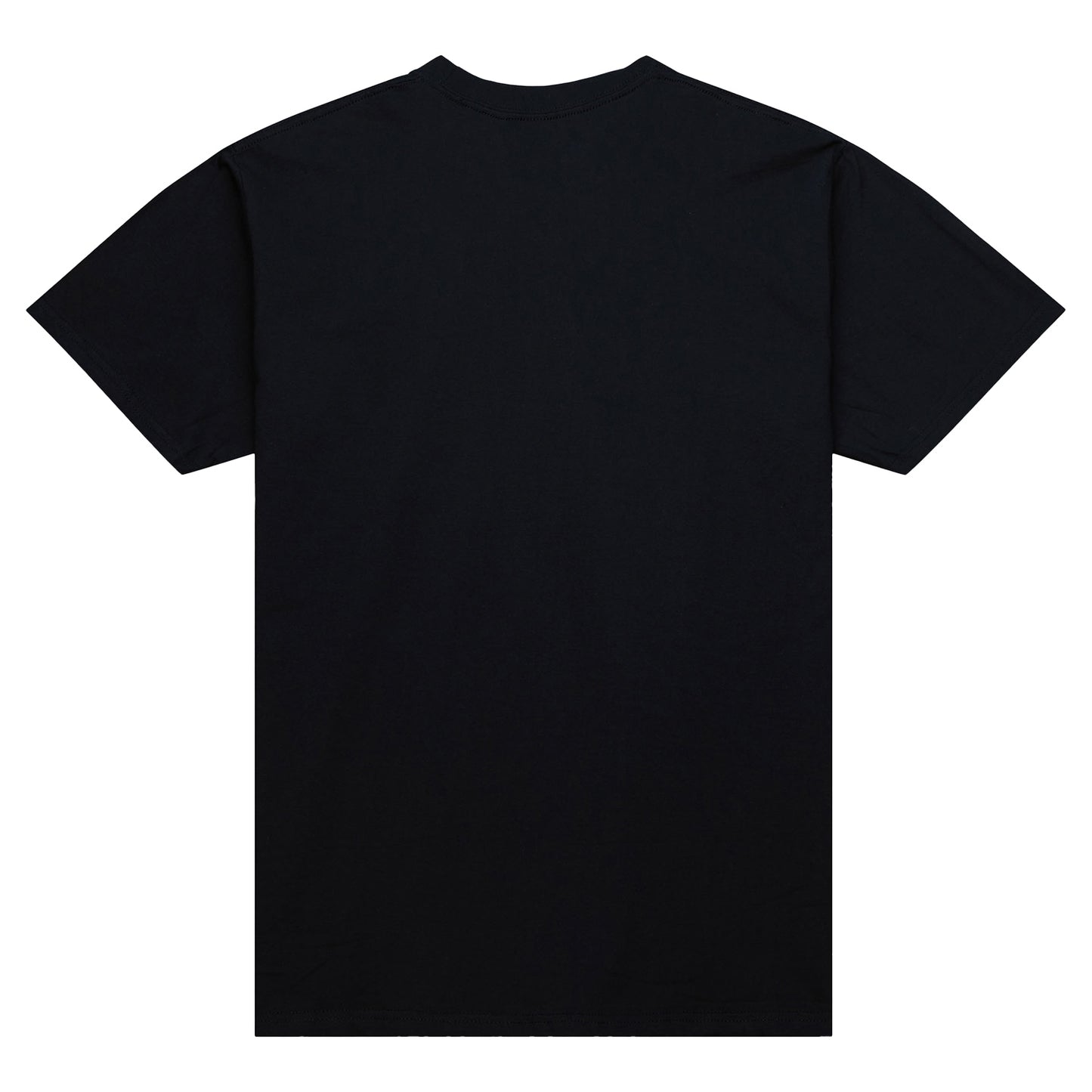 Chicago Bulls Mitchell & Ness Champions T-Shirt in black - back view