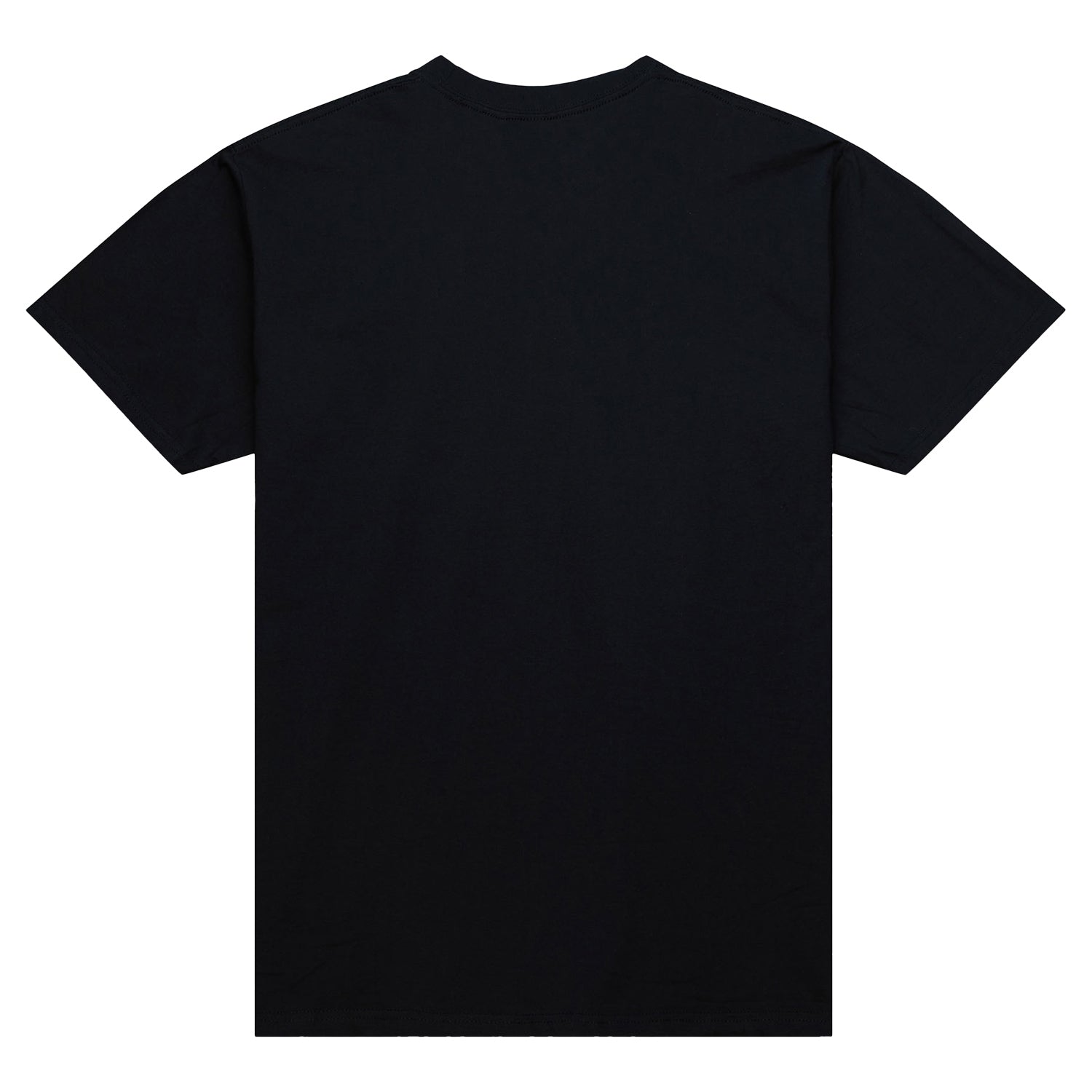 Chicago Bulls Mitchell & Ness Champions T-Shirt in black - back view