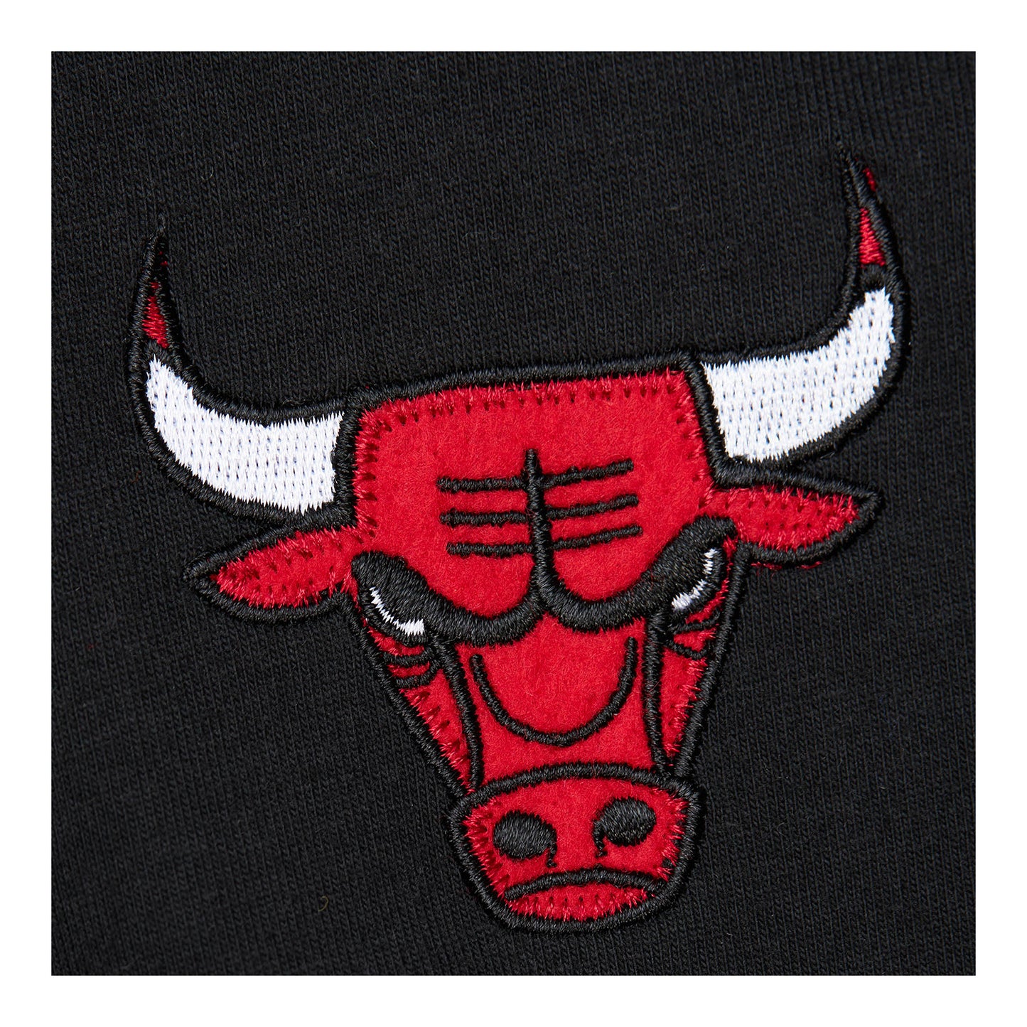 Chicago Bulls Premium Dennis Rodman T-Shirt - close up view