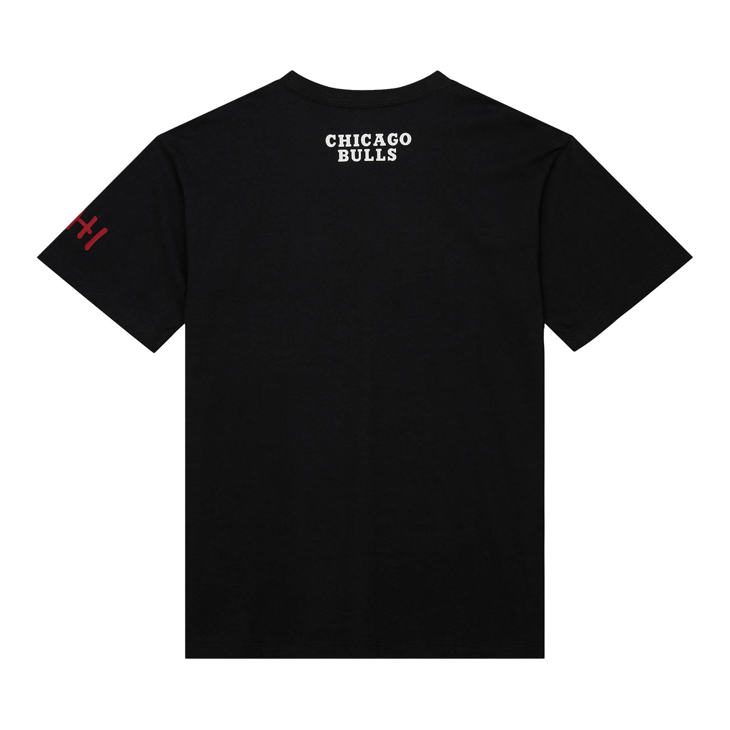 Chicago Bulls Premium Dennis Rodman T-Shirt - back view