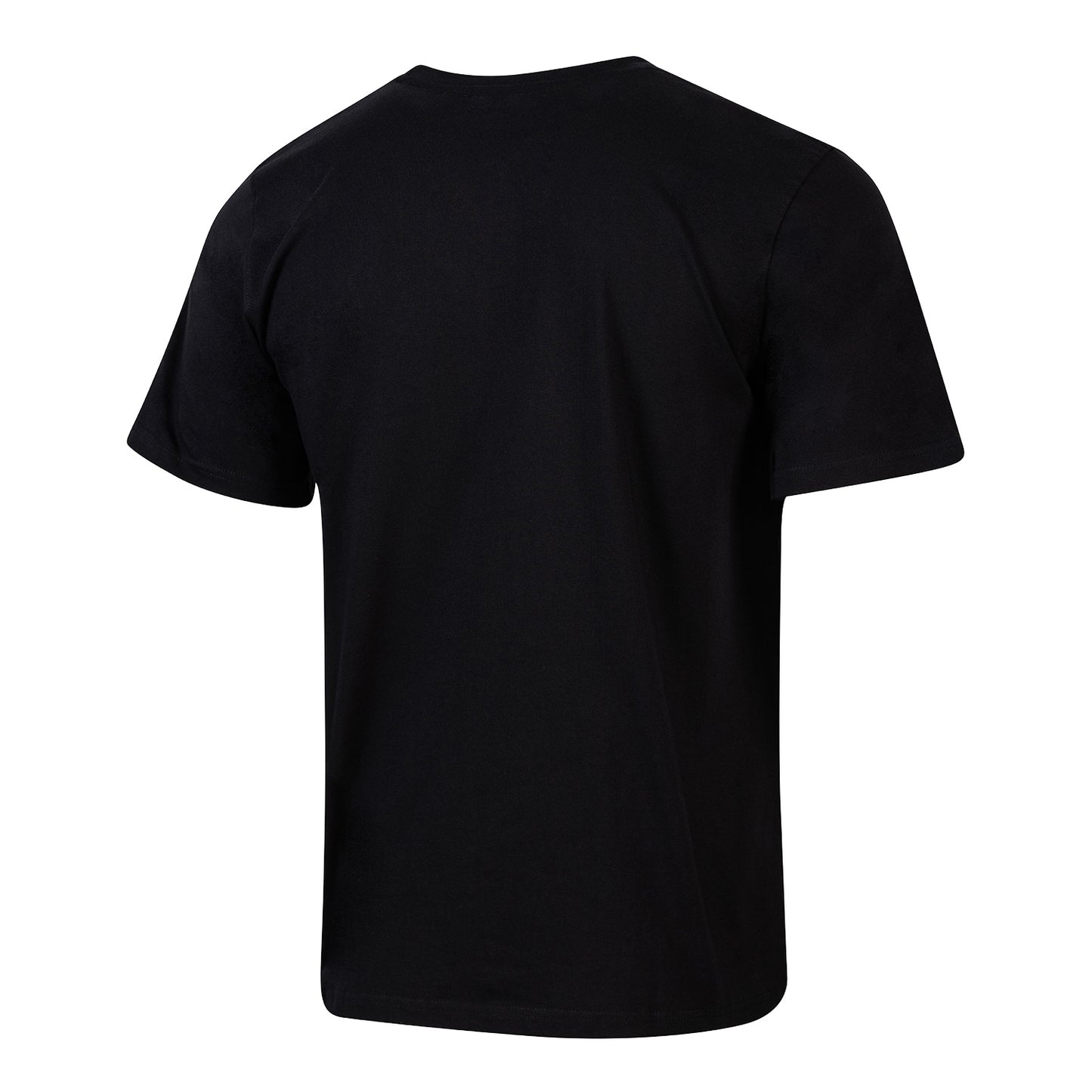 Chicago Bulls 1966 Benny Popcorn Boxy Tee in Black - Back View