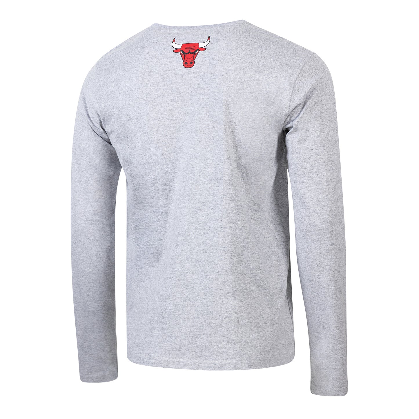 Chicago Bulls 1966 Statement Pinstripe Logo Long-Sleeve T-Shirt in Grey - Back View