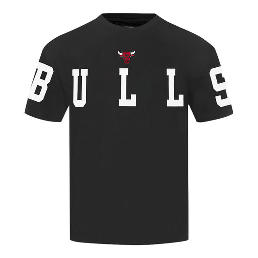 Chicago Bulls Pro Standard Billboard T-Shirt in Black - Back view