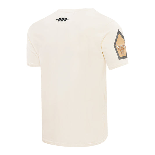 2024-25 CHICAGO BULLS CITY EDITION PRO STANDARD MULTI-LOGO EGG T-SHIRT - FRONT SIDE VIEW