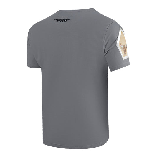 2024-25 CHICAGO BULLS CITY EDITION PRO STANDARD MULTI-LOGO GREY T-SHIRT - FRONT SIDE VIEW