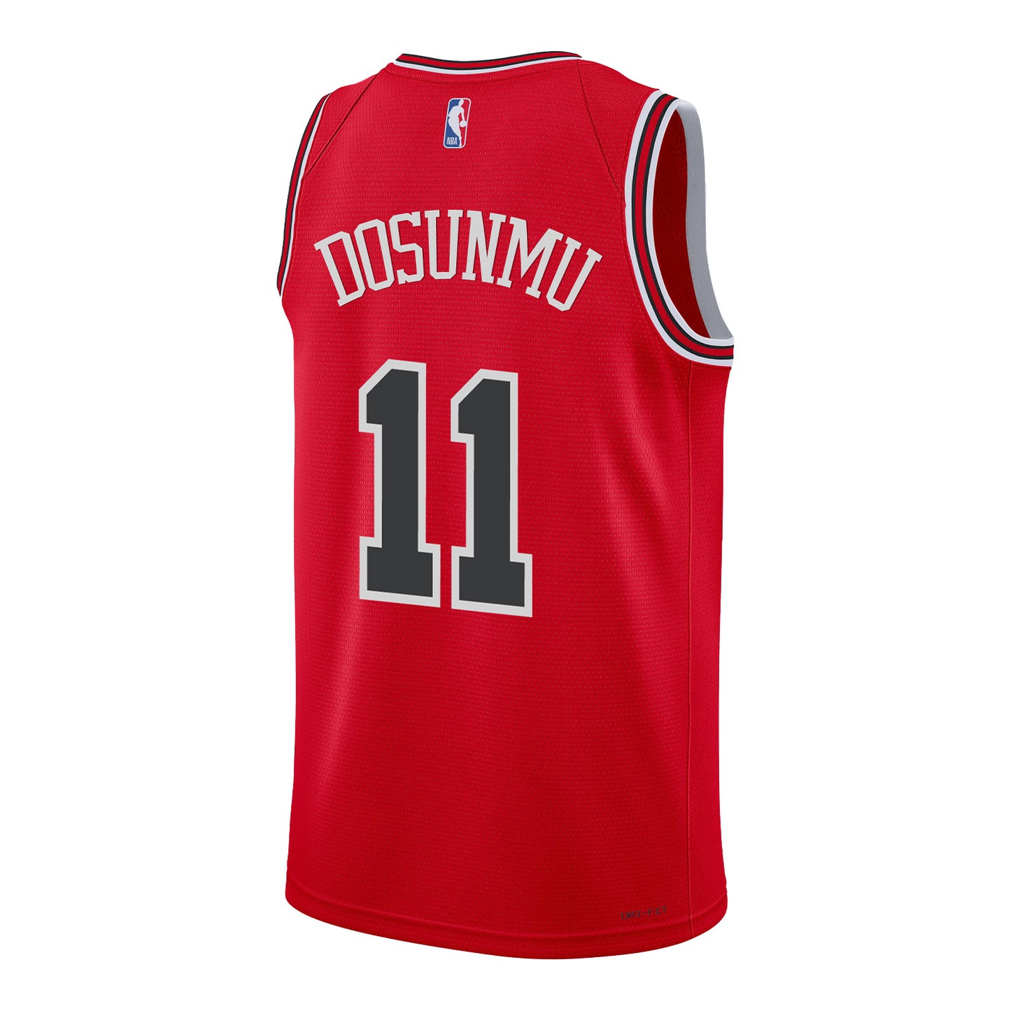 Chicago Bulls Ayo Dosunmu Nike Icon Swingman Jersey