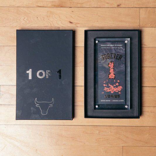 Chicago Bulls Eventshop Derrick Rose Collectible Ticket - Acrylic Case - Front VIew