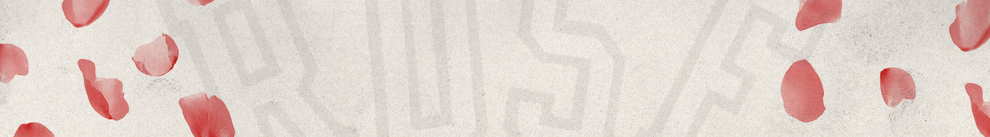 Sign up for exclusive updates on the Derrick Rose's Jersey retirement merch release.