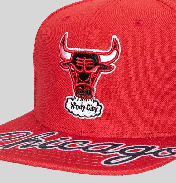 Chicago Bulls Authentic Mitchell & Ness Michael Jordan 1995-96 
