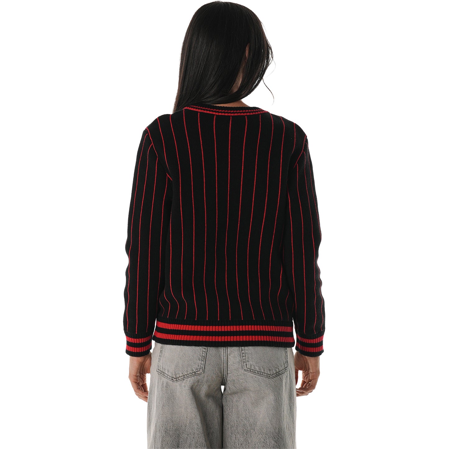 Ladies Chicago Bulls Wild Collective Stripe V-Neck Crew in Black - Back View