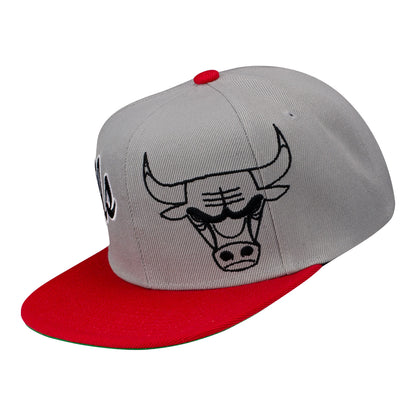 Chicago Bulls Mitchell & Ness Split Knockout Snapback In Grey - Front Left View