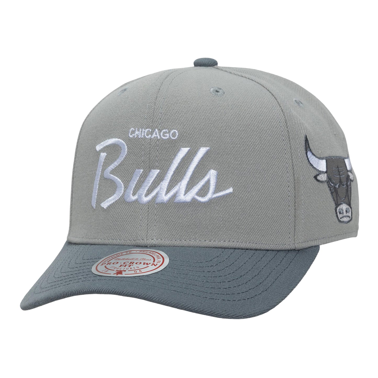 Chicago Bulls Mitchell & Ness Thunderstorm Head Coach Pro Snapback in Grey - Front Left View