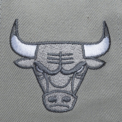 Chicago Bulls Mitchell & Ness Thunderstorm Head Coach Pro Snapback in Grey - Embroidered View