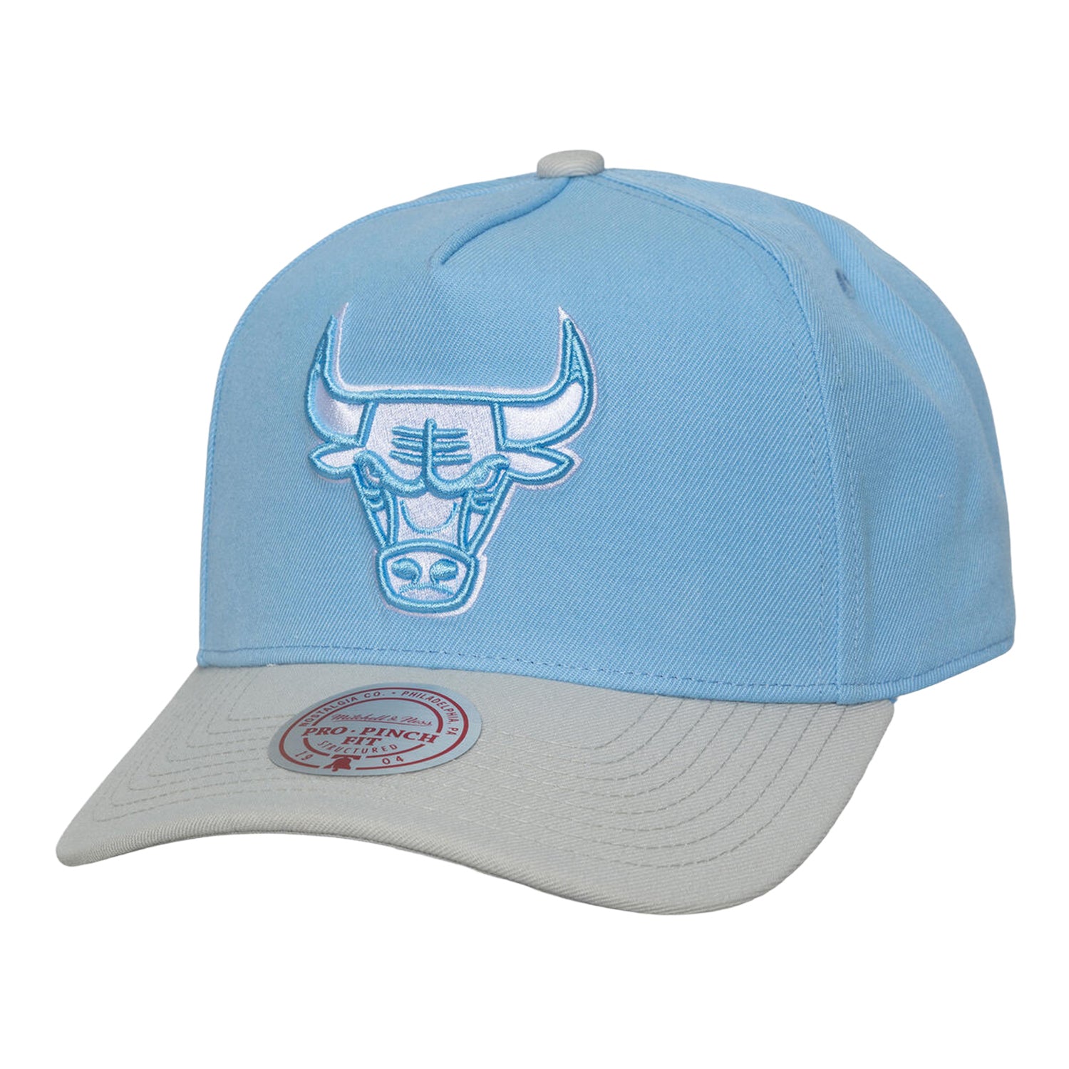 Chicago Bulls Mitchell & Ness Blue Gleam Pro Snapback in Blue - Front Left View