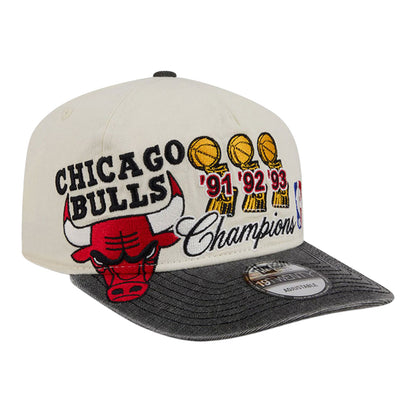 Chicago Bulls New Era Past Champs 1920 Snapback in White - Front Right View