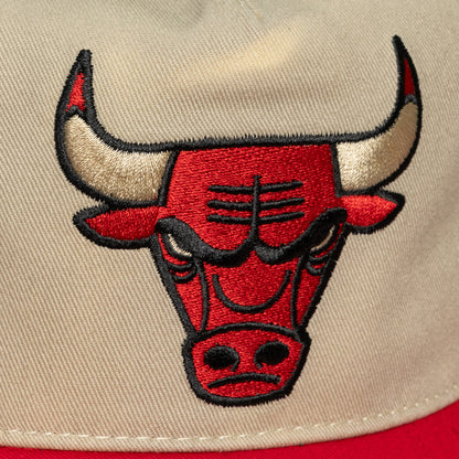 Chicago Bulls Mitchell & Ness Retro Roots Snapback