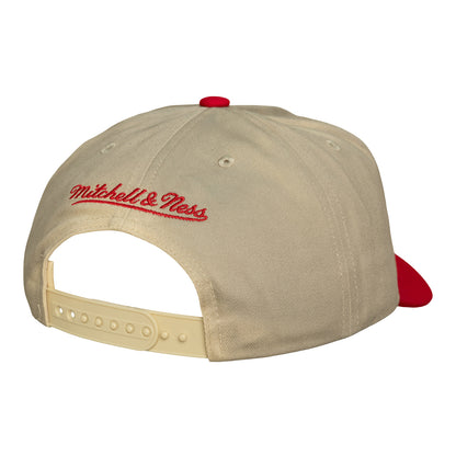 Chicago Bulls Mitchell & Ness Retro Roots Snapback