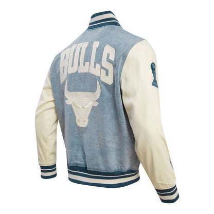Chicago Bulls Pro Standard Varsity Blue Jacket - back view