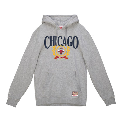 Chicago Bulls Mitchell & Ness Collegiate Ivy League Hooded Sweatshirt in grey - front view