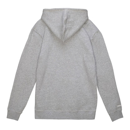 Chicago Bulls Mitchell & Ness Collegiate Ivy League Hooded Sweatshirt in grey - back  view