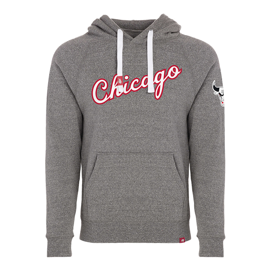 Chicago Bulls Banner Crop Sweatshirt - Licorice main image 1