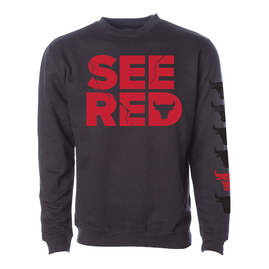 Chicago Bulls IOG 'See Red' Crewneck Sweatshirt - front view