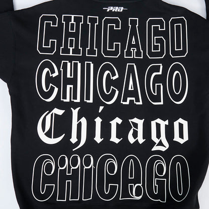 Chicago Bulls Pro Standard Billboard Hooded Sweatshirt in Black - Back View