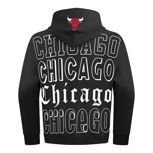Chicago Bulls Pro Standard Billboard Hooded Sweatshirt in Black - Back View