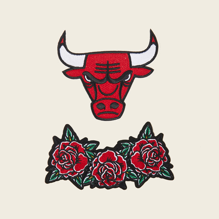 Chicago Bulls Pro Standard Fire And Roses Hooded Sweatshirt - front graphic detail view