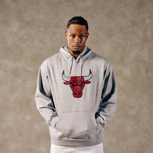 Chicago Bulls 1966 Los Bulls 2026-27 Hoodie in Grey - Front View