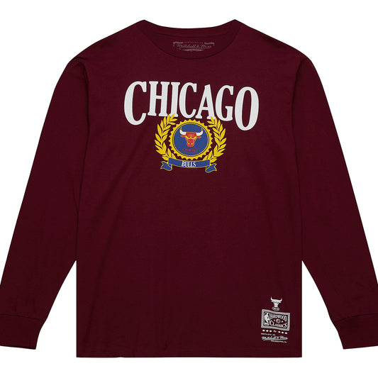 Chicago Bulls Mitchell & Ness Collegiate Ivey League T-Shirt - Front View