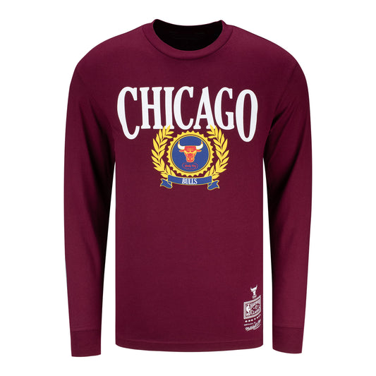 Chicago Bulls Mitchell & Ness Collegiate Ivy League T-Shirt - front view