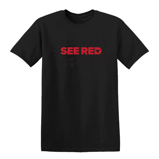 Chicago Bulls IOG 'See Red' Tonal Box T-Shirt - front view