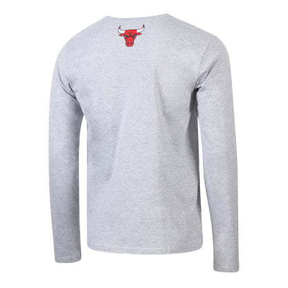 Chicago Bulls 1966 Statement Pinstripe Logo Long-Sleeve T-Shirt in Grey - Back View