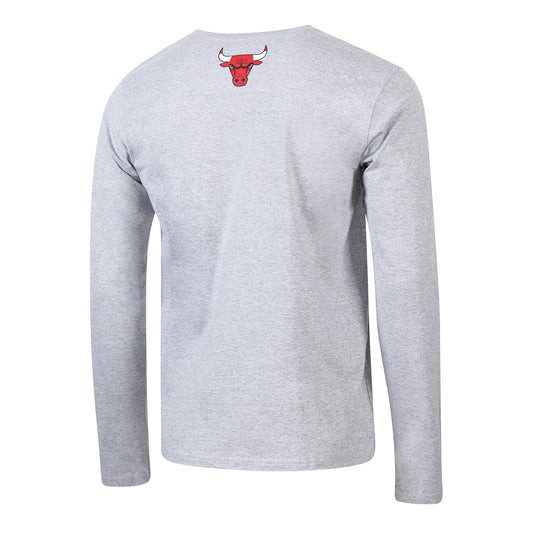 Chicago Bulls 1966 Statement Pinstripe Logo Long-Sleeve T-Shirt in Grey - Front View