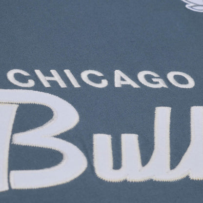 Chicago Bulls Mitchell & Ness Thunderstorm T-Shirt in Blue - Front Detail View