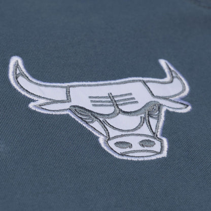 Chicago Bulls Mitchell & Ness Thunderstorm T-Shirt in Blue - Front Detail View