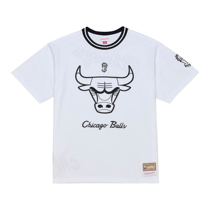 Chicago Bulls Mitchell & Ness Arctic White T-Shirt in White - Front View